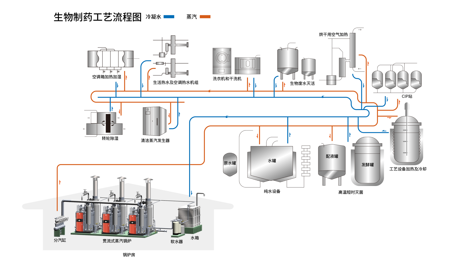 生物制藥工藝流程圖.png